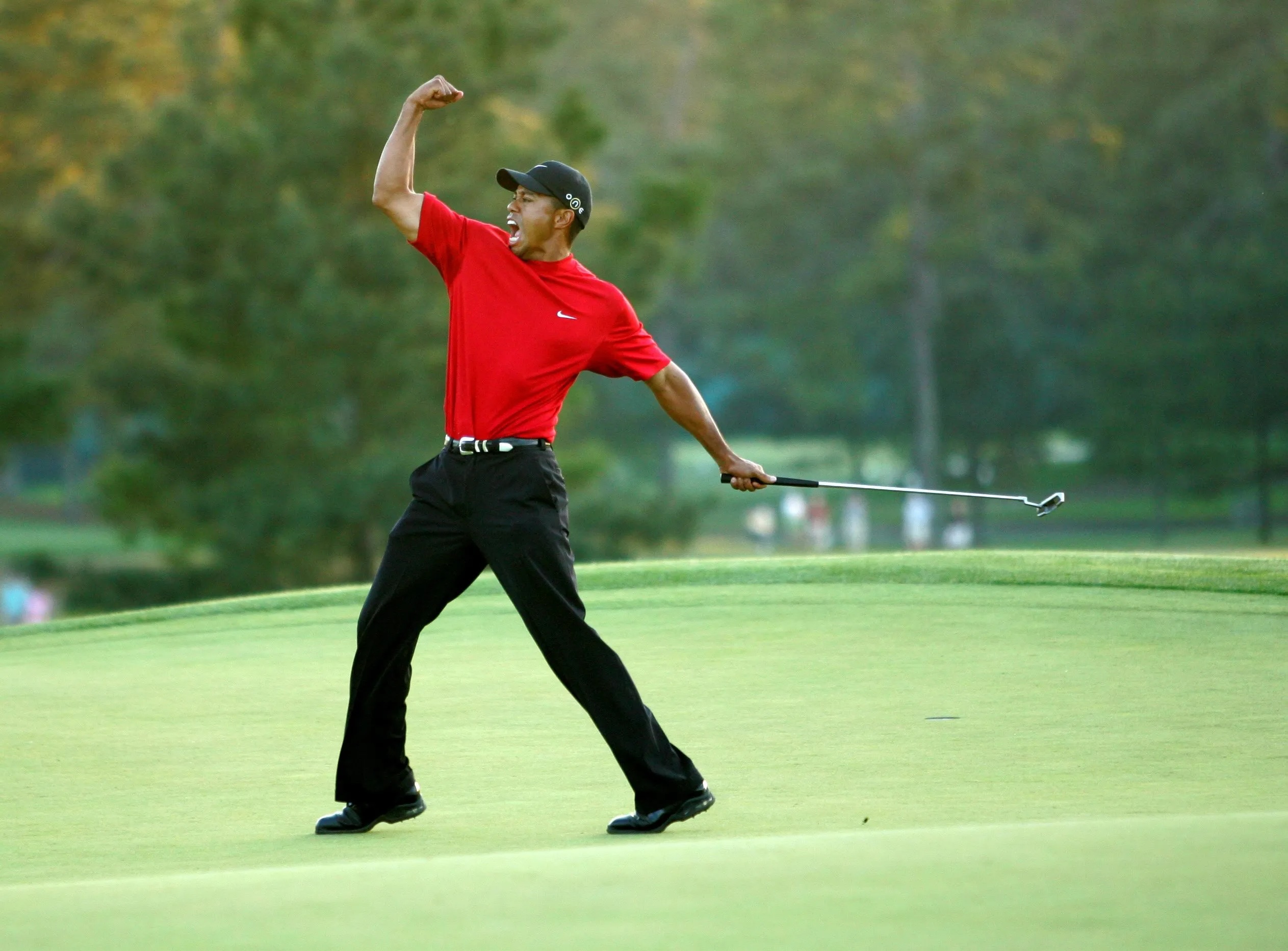 img of tiger woods
